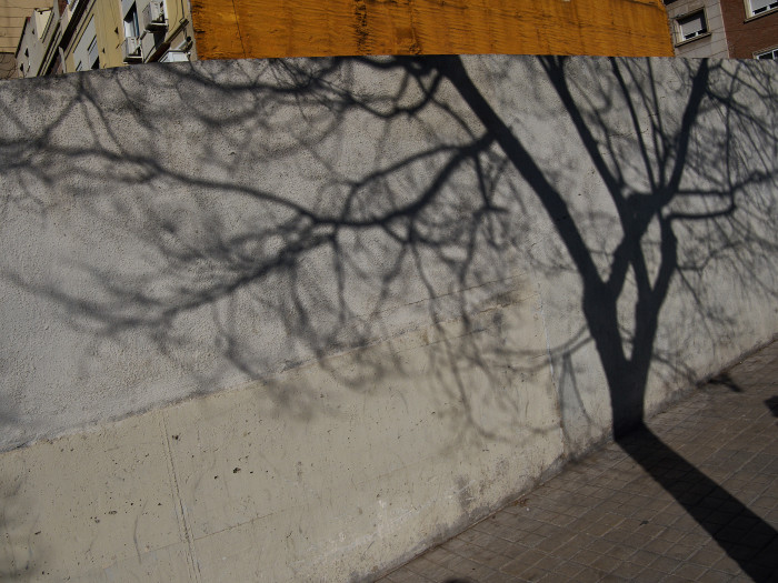 12-Pc14-2022-01-16 13.02.17